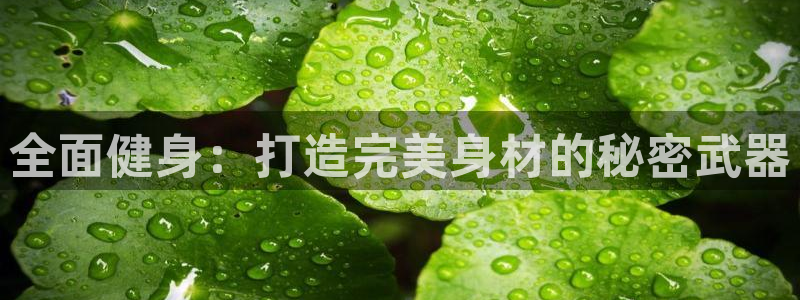 意昂2娱乐